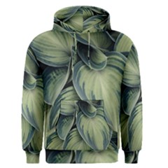 Closeup Photo Of Green Variegated Leaf Plants Men s Pullover Hoodie by Pakrebo