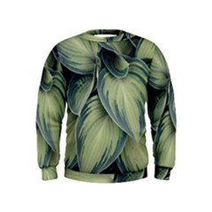 Closeup Photo Of Green Variegated Leaf Plants Kids  Sweatshirt by Pakrebo