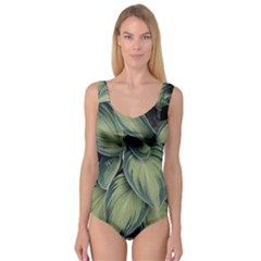 Closeup Photo Of Green Variegated Leaf Plants Princess Tank Leotard  by Pakrebo