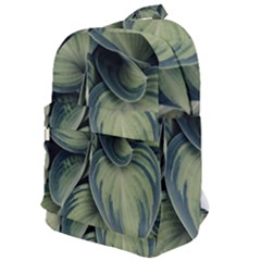 Closeup Photo Of Green Variegated Leaf Plants Classic Backpack by Pakrebo