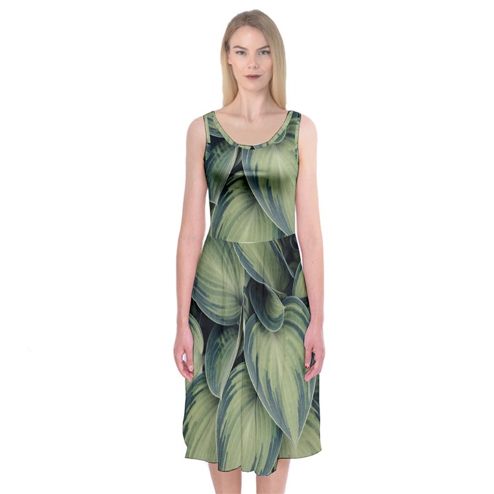 Closeup Photo Of Green Variegated Leaf Plants Midi Sleeveless Dress