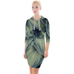 Closeup Photo Of Green Variegated Leaf Plants Quarter Sleeve Hood Bodycon Dress by Pakrebo