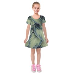 Closeup Photo Of Green Variegated Leaf Plants Kids  Short Sleeve Velvet Dress by Pakrebo