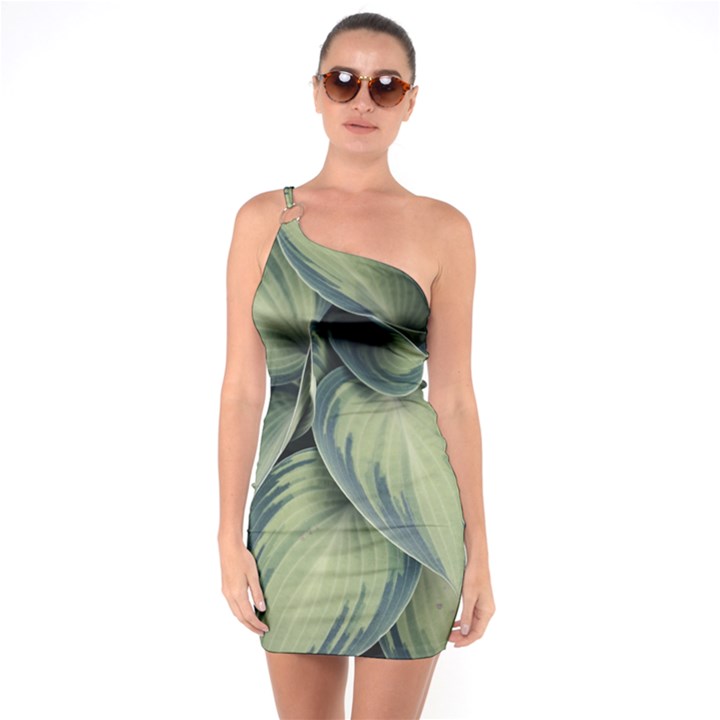 Closeup Photo Of Green Variegated Leaf Plants One Soulder Bodycon Dress