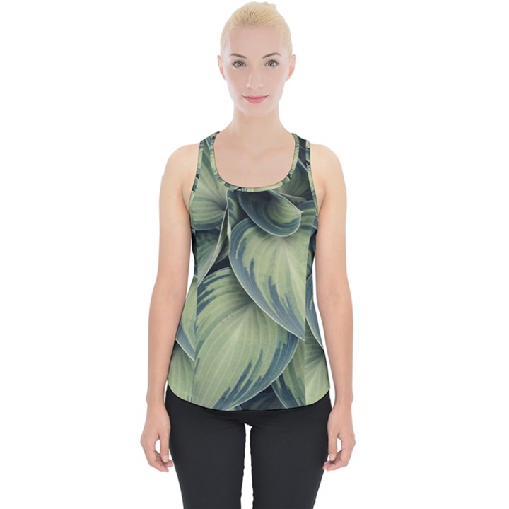 Closeup Photo Of Green Variegated Leaf Plants Piece Up Tank Top