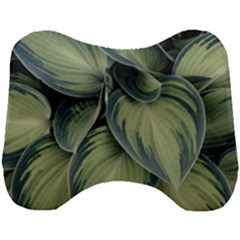 Closeup Photo Of Green Variegated Leaf Plants Head Support Cushion by Pakrebo