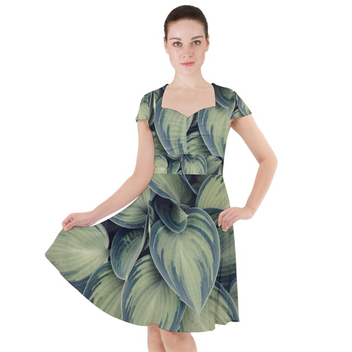 Closeup Photo Of Green Variegated Leaf Plants Cap Sleeve Midi Dress