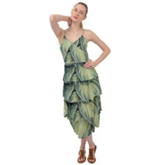 Closeup Photo Of Green Variegated Leaf Plants Layered Bottom Dress