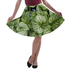 Green And White Leaf Plant A-line Skater Skirt by Pakrebo