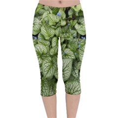 Green And White Leaf Plant Velvet Capri Leggings 