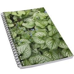 Green And White Leaf Plant 5 5  X 8 5  Notebook by Pakrebo