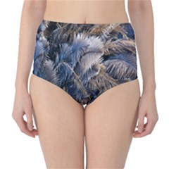 Dried Leafed Plants Classic High-waist Bikini Bottoms by Pakrebo