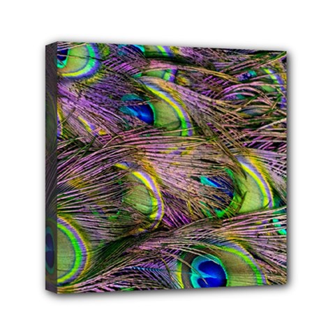 Green Purple And Blue Peacock Feather Digital Wallpaper Mini Canvas 6  X 6  (stretched) by Pakrebo