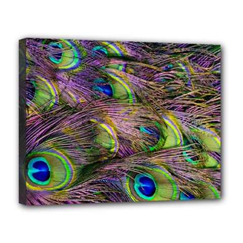 Green Purple And Blue Peacock Feather Digital Wallpaper Canvas 14  X 11  (stretched) by Pakrebo