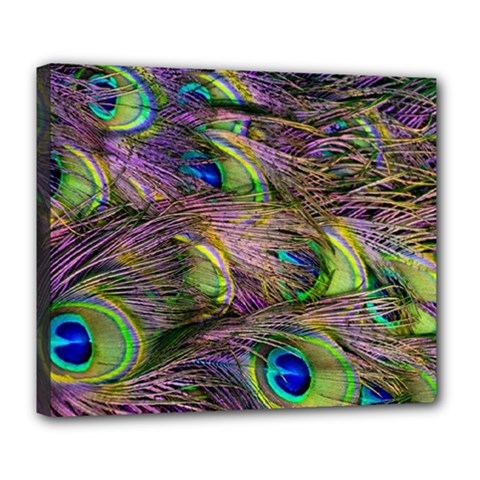 Green Purple And Blue Peacock Feather Digital Wallpaper Deluxe Canvas 24  X 20  (stretched) by Pakrebo