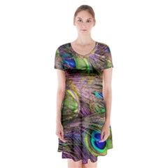 Green Purple And Blue Peacock Feather Digital Wallpaper Short Sleeve V-neck Flare Dress by Pakrebo