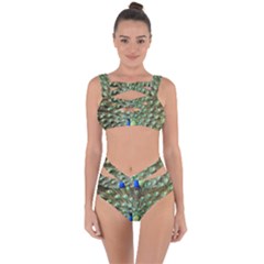 Blue And Green Peacock Bandaged Up Bikini Set  by Pakrebo