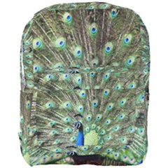 Blue And Green Peacock Full Print Backpack by Pakrebo