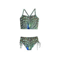 Blue And Green Peacock Girls  Tankini Swimsuit by Pakrebo