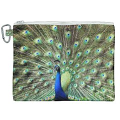 Blue And Green Peacock Canvas Cosmetic Bag (xxl) by Pakrebo