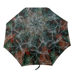 Aerial Photography Of Green Leafed Tree Folding Umbrellas