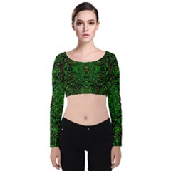 Ml-c5-6 Velvet Long Sleeve Crop Top by ArtworkByPatrick