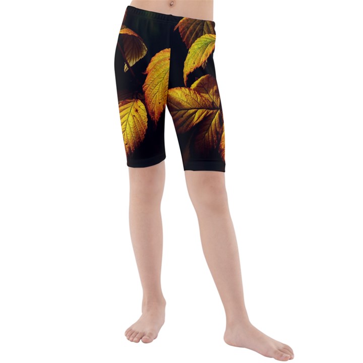 Nature Yellow Plant Leaves Kids  Mid Length Swim Shorts