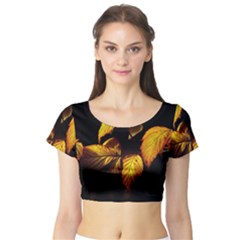 Nature Yellow Plant Leaves Short Sleeve Crop Top