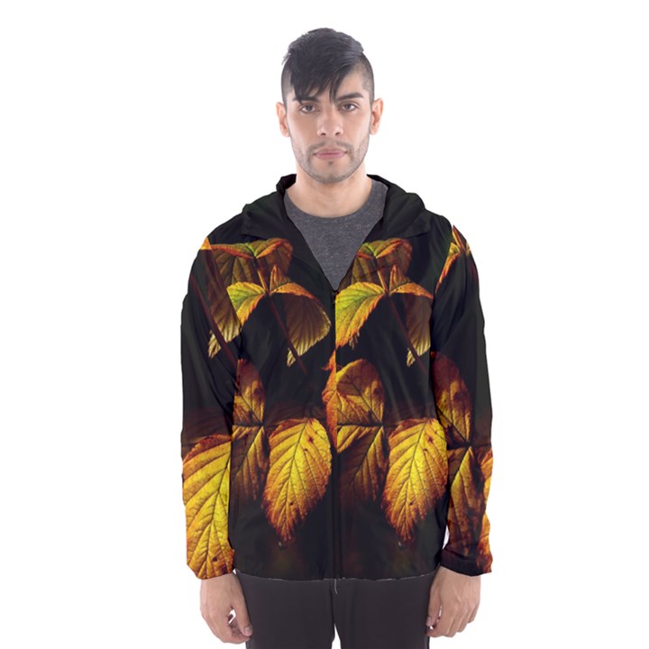 Nature Yellow Plant Leaves Men s Hooded Windbreaker