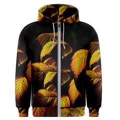 Nature Yellow Plant Leaves Men s Zipper Hoodie