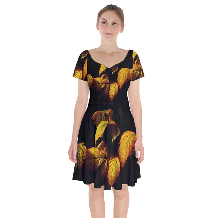 Nature Yellow Plant Leaves Short Sleeve Bardot Dress