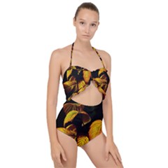 Nature Yellow Plant Leaves Scallop Top Cut Out Swimsuit by Pakrebo