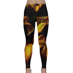 Nature Yellow Plant Leaves Lightweight Velour Classic Yoga Leggings