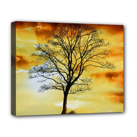 Branches Dawn Dusk Fall Deluxe Canvas 20  X 16  (stretched) by Pakrebo