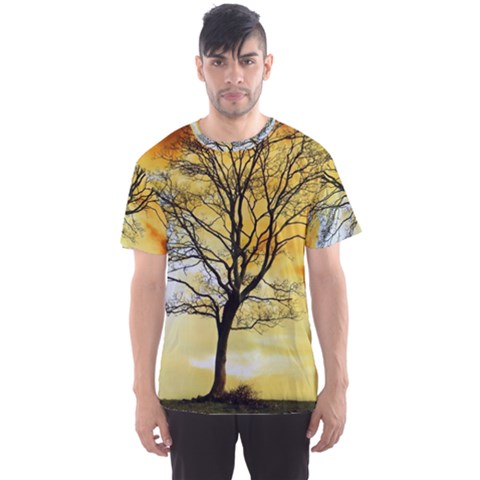 Branches Dawn Dusk Fall Men s Sports Mesh Tee by Pakrebo