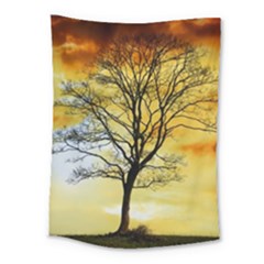 Branches Dawn Dusk Fall Medium Tapestry by Pakrebo