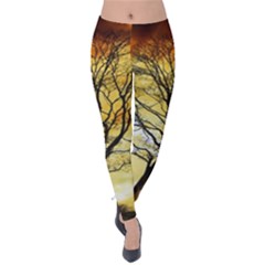 Branches Dawn Dusk Fall Velvet Leggings by Pakrebo