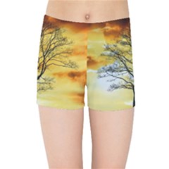 Branches Dawn Dusk Fall Kids  Sports Shorts by Pakrebo