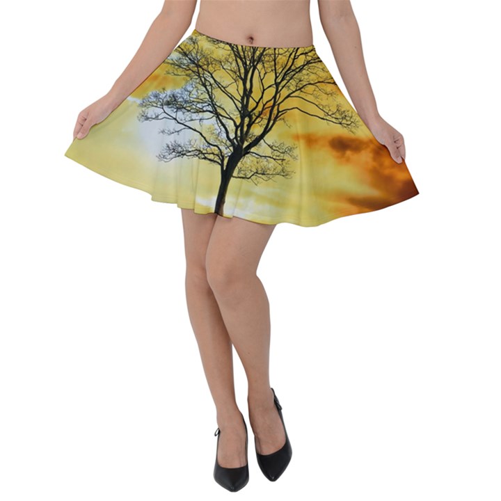 Branches Dawn Dusk Fall Velvet Skater Skirt