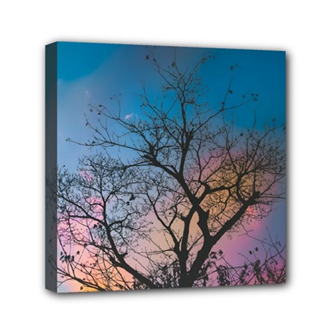 Low Angle Photography Of Bare Tree Mini Canvas 6  X 6  (stretched) by Pakrebo