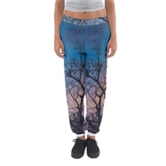 Low Angle Photography Of Bare Tree Women s Jogger Sweatpants by Pakrebo