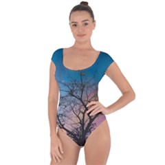 Low Angle Photography Of Bare Tree Short Sleeve Leotard  by Pakrebo