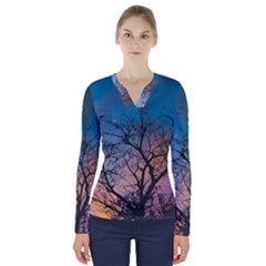 Low Angle Photography Of Bare Tree V-neck Long Sleeve Top by Pakrebo