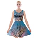 Low Angle Photography Of Bare Tree Velvet Skater Dress View1