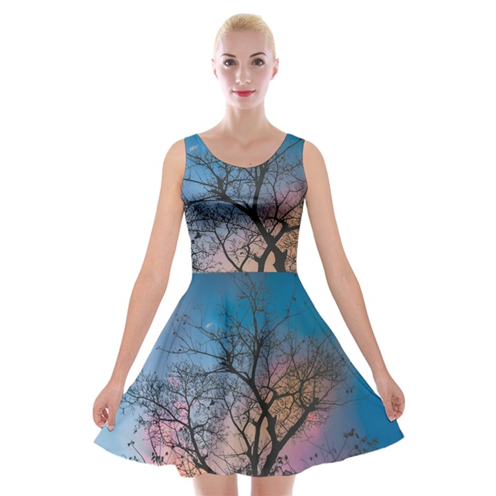 Low Angle Photography Of Bare Tree Velvet Skater Dress