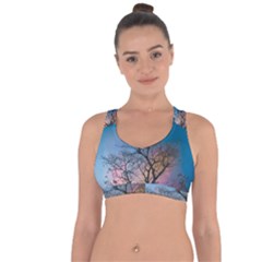 Low Angle Photography Of Bare Tree Cross String Back Sports Bra by Pakrebo