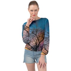 Low Angle Photography Of Bare Tree Banded Bottom Chiffon Top by Pakrebo