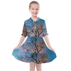 Low Angle Photography Of Bare Tree Kids  All Frills Chiffon Dress by Pakrebo