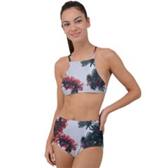 Red Petaled Flowers High Waist Tankini Set by Pakrebo