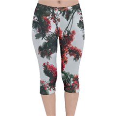 Red Petaled Flowers Velvet Capri Leggings  by Pakrebo